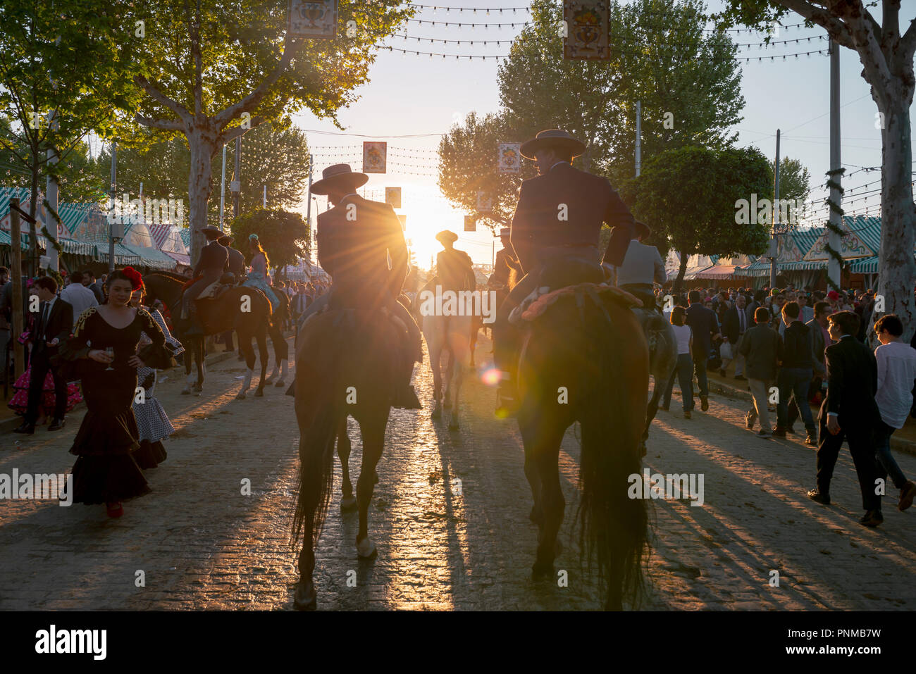 Cavaliere a cavallo con abiti tradizionali, luce posteriore, Feria de Abril di Siviglia, in Andalusia, Spagna Foto Stock