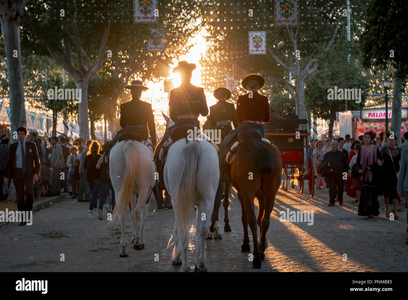 Cavaliere a cavallo con abiti tradizionali, luce posteriore, Feria de Abril di Siviglia, in Andalusia, Spagna Foto Stock