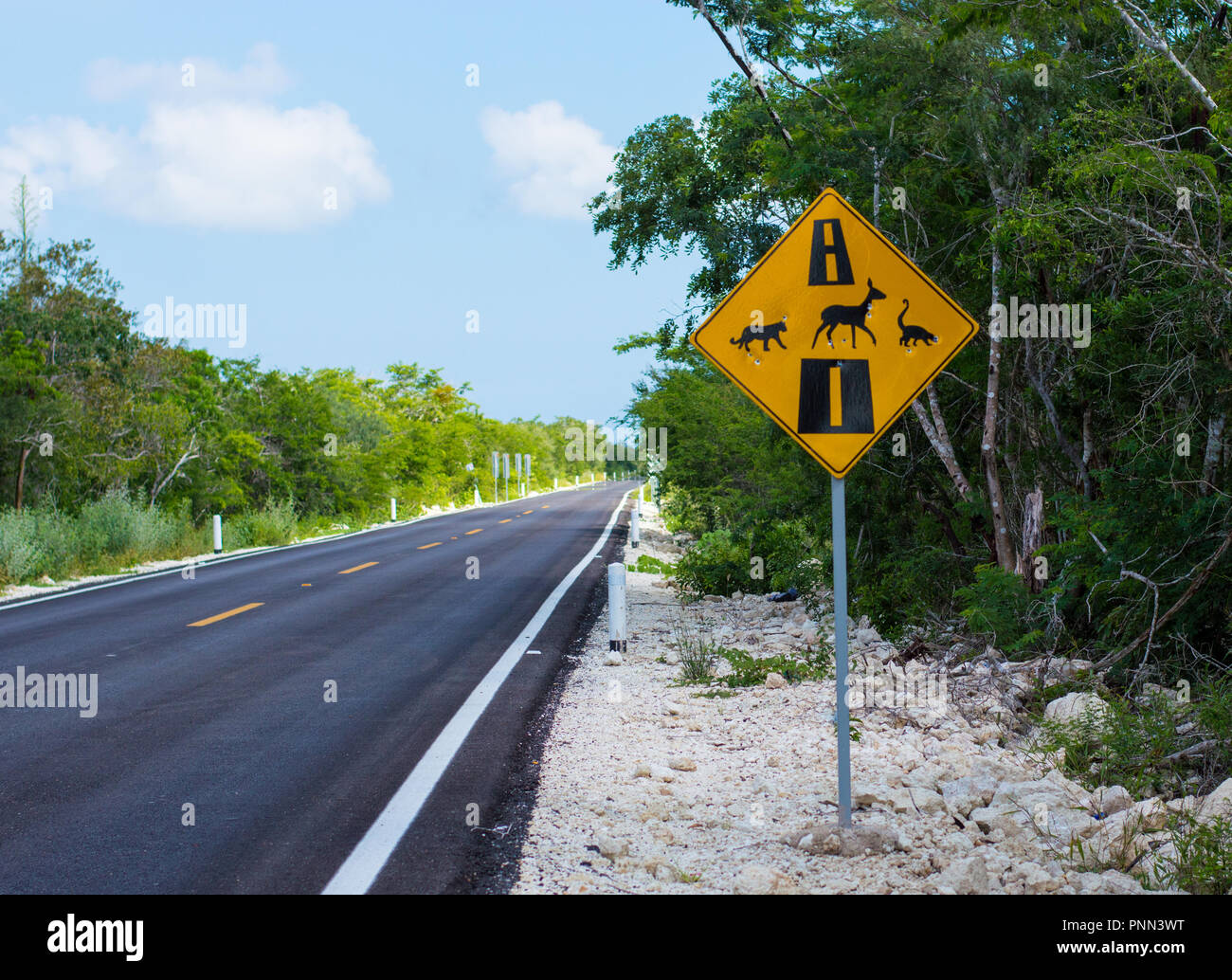 Wild Animal Crossing sign in Yucatan, Messico. Il segno raffigura un felino, un cervo e un coati. Foto Stock