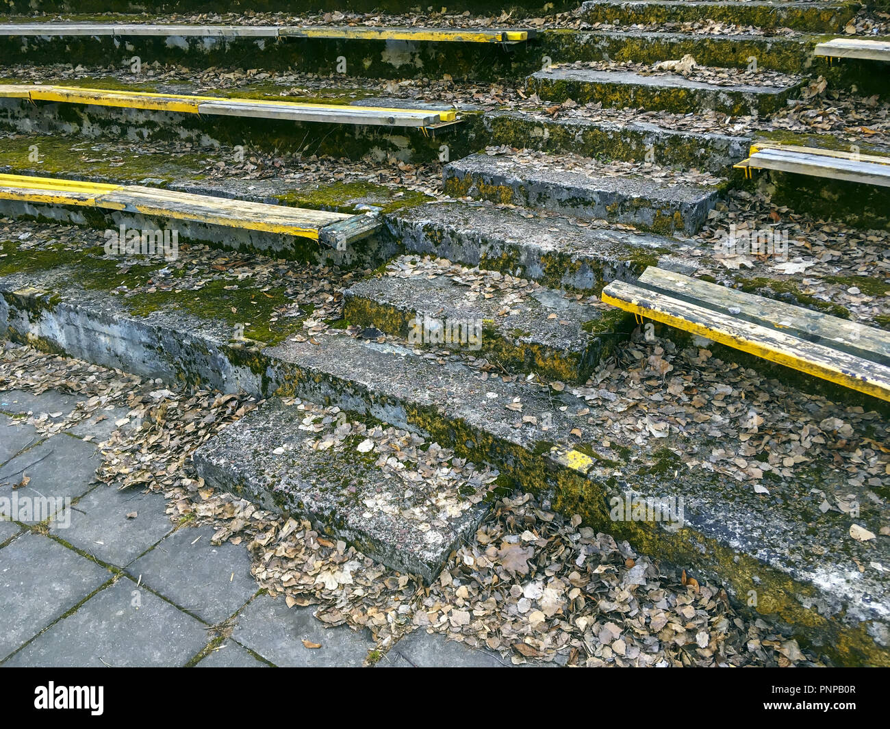 Passi concreti coperte di muschio e secco Foglie di autunno Foto Stock