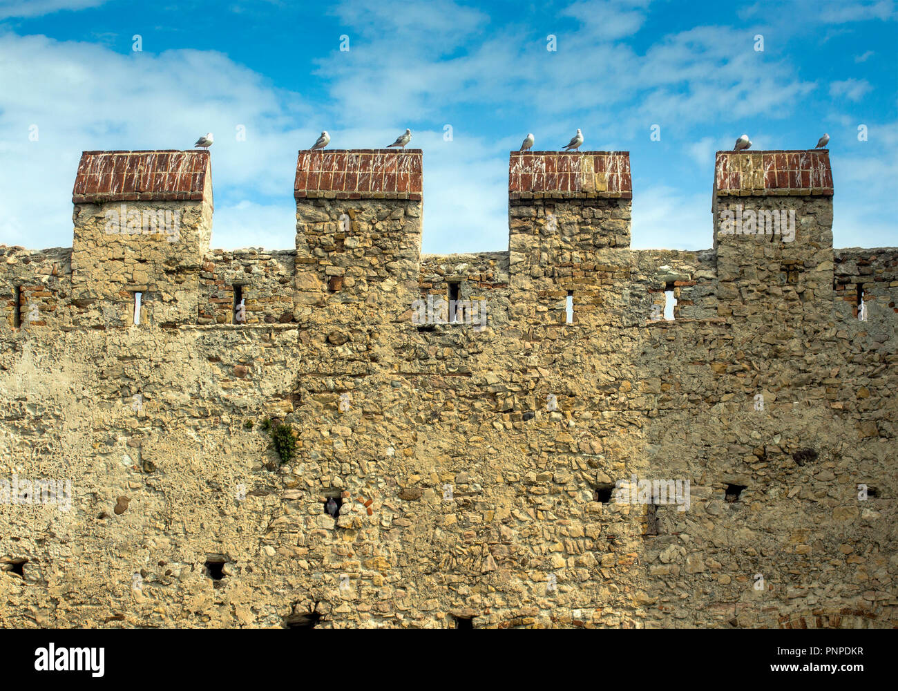 Fortezza Medievale parete con piccioni. Foto Stock