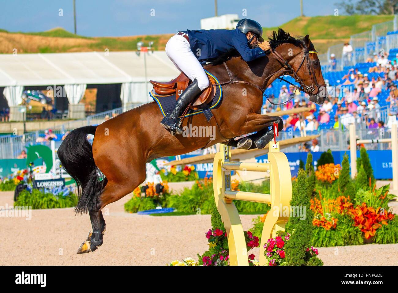 North Carolina, USA. Xxi Sett 2018. Team argento. Peder Fredricson riding H&M Christian K. SWE. FEI World Team & singoli Campionati di salto. Showjumping. Secondo Concorso. Round 2. Giorno 10. Giochi equestri mondiali. WEG 2018 Tryon. Carolina del Nord. Stati Uniti d'America. 21/09/2018. Credito: Sport In immagini/Alamy Live News Foto Stock