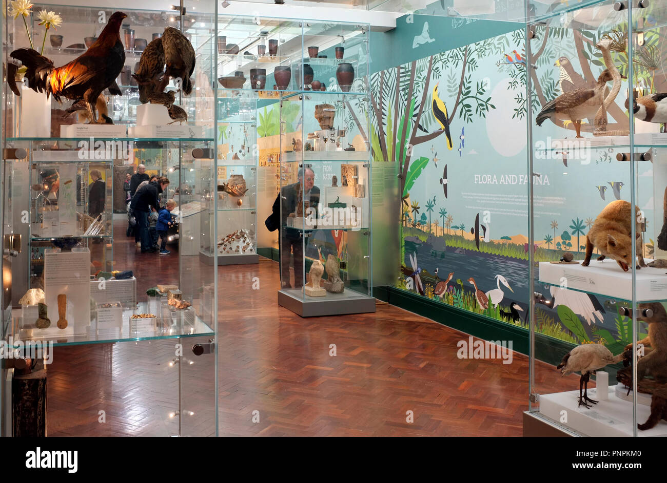 22-09-2018 Bolton Museum & Art Gallery riapre al pubblico dopo un £3,8 milioni di rinnovare con ampi miglioramenti per l'Egittologia gallery. Bolton la collezione è una delle più significative antiche collezioni egizie NEL REGNO UNITO Fotografia Don Tonge Foto Stock