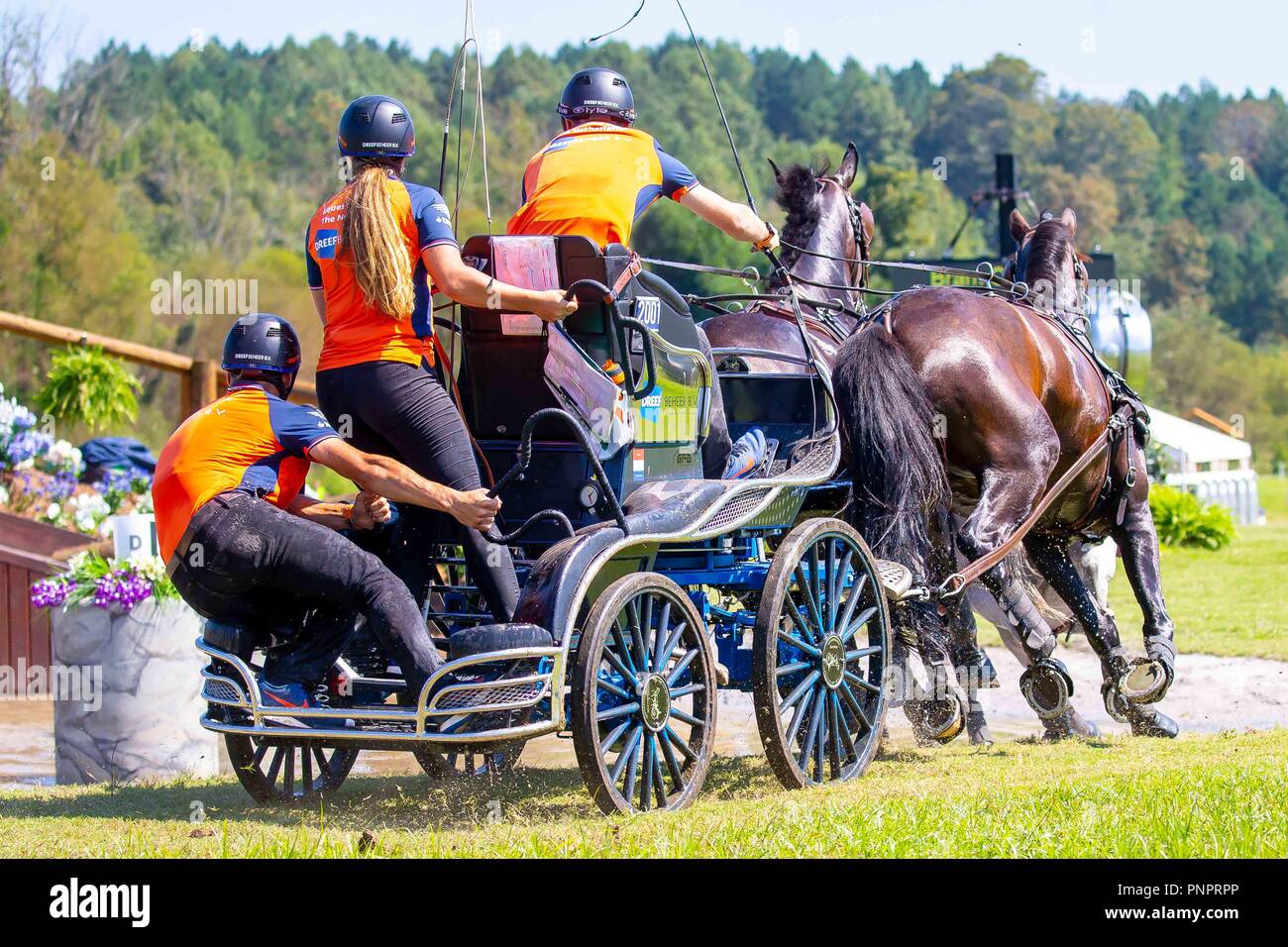 Tryon, Stati Uniti d'America. Il 22 settembre 2018. Bram Chardon. GER. Maratona. FEI World Team & guida individuale campionati. Giorno 11. Giochi equestri mondiali. WEG 2018 Tryon. Carolina del Nord. Stati Uniti d'America. 22/09/2018. Credito: Sport In immagini/Alamy Live News Foto Stock