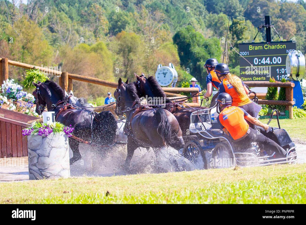 Tryon, Stati Uniti d'America. Il 22 settembre 2018. Bram Chardon. GER. Maratona. FEI World Team & guida individuale campionati. Giorno 11. Giochi equestri mondiali. WEG 2018 Tryon. Carolina del Nord. Stati Uniti d'America. 22/09/2018. Credito: Sport In immagini/Alamy Live News Foto Stock