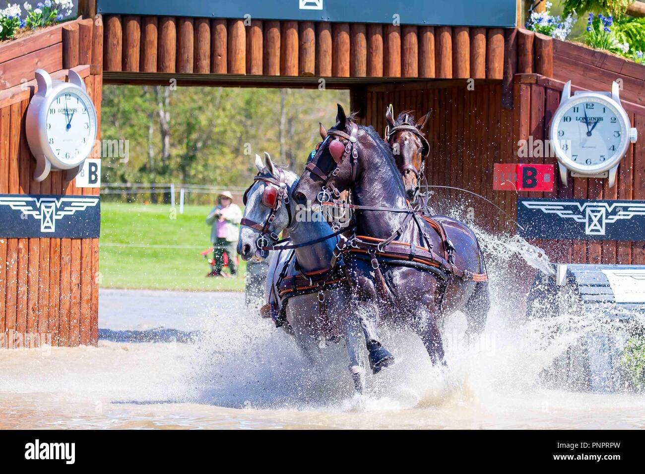 Tryon, Stati Uniti d'America. Il 22 settembre 2018. Bram Chardon. GER. Maratona. FEI World Team & guida individuale campionati. Giorno 11. Giochi equestri mondiali. WEG 2018 Tryon. Carolina del Nord. Stati Uniti d'America. 22/09/2018. Credito: Sport In immagini/Alamy Live News Foto Stock