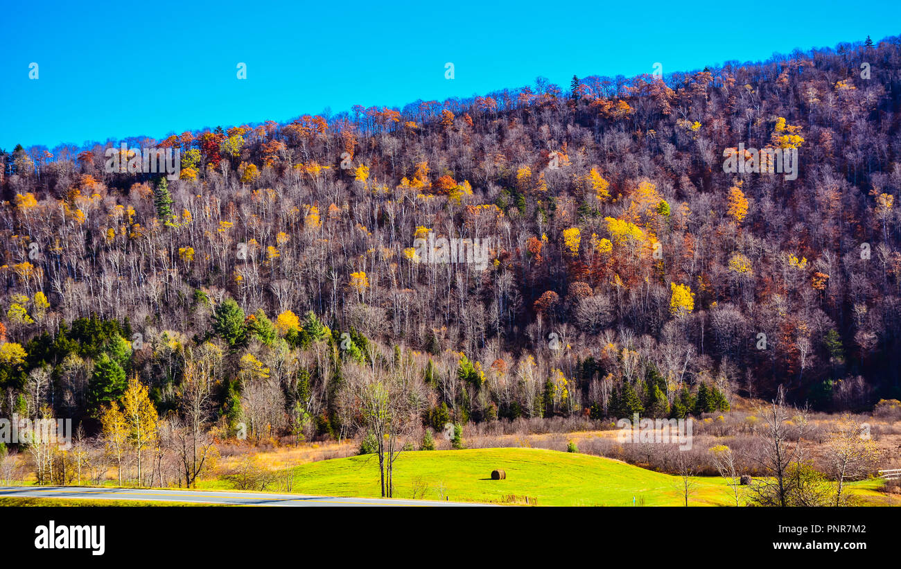 Paesaggio autunnale - tacca di Plymouth, VT Foto Stock