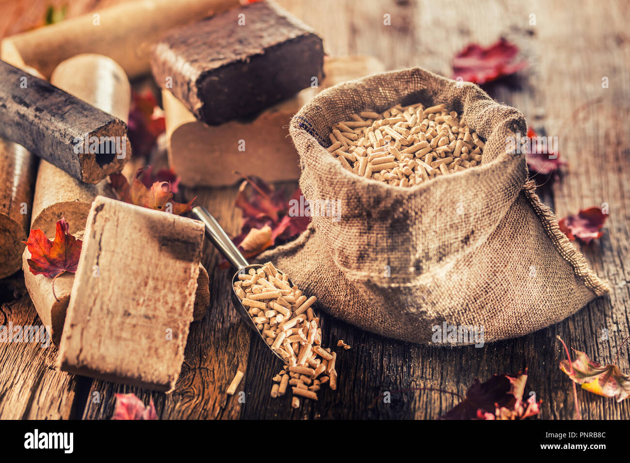 Premuto in legno agglomerati in forma di pellets e bricchetti da biomassa con foglie di autunno. Foto Stock