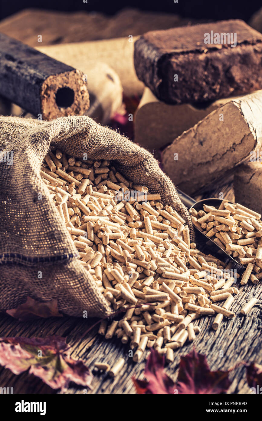 Premuto in legno agglomerati in forma di pellets e bricchetti da biomassa con foglie di autunno. Foto Stock