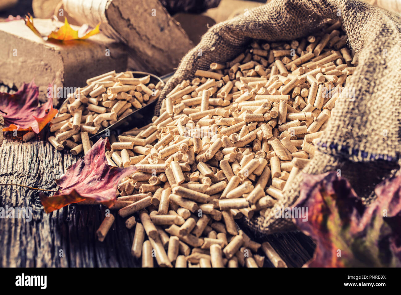 Premuto in legno agglomerati in forma di pellets e bricchetti da biomassa con foglie di autunno. Foto Stock