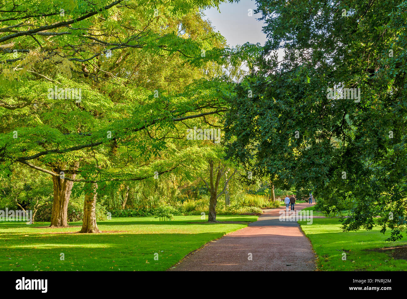 Edimburgo Scozia Botanic Gardens un viale alberato a piedi Foto Stock