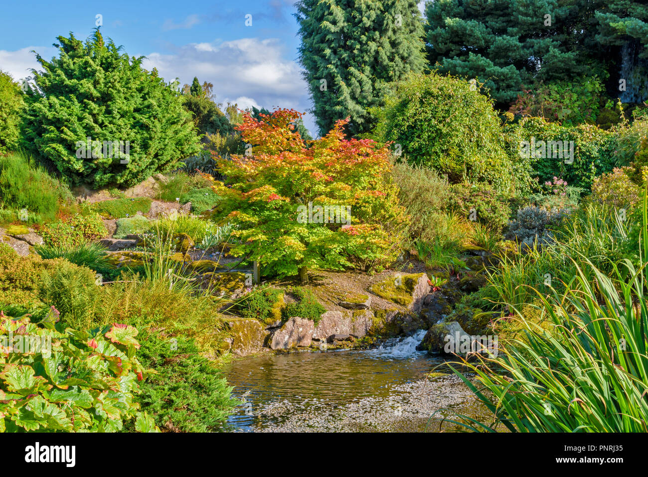 Edimburgo Scozia giardini botanici IL GIARDINO ROCKERY e streaming Foto Stock