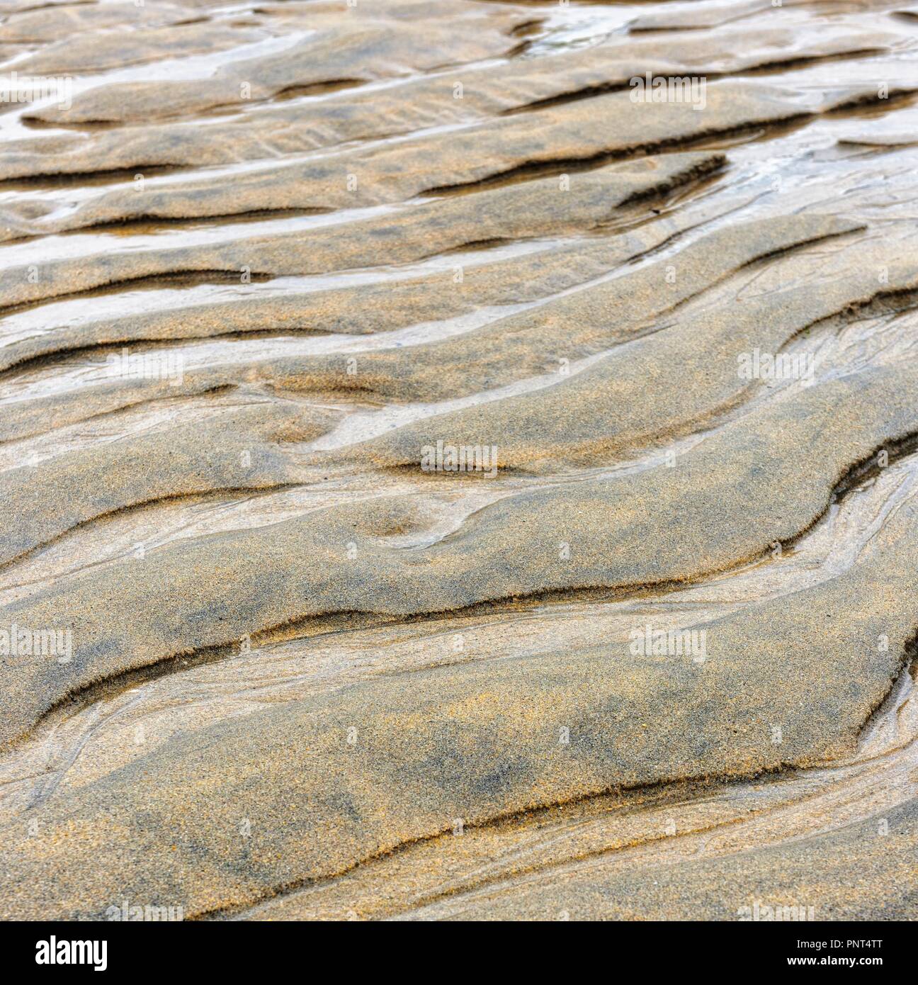 Spiaggia di sabbia con la bassa marea, increspato wave pattern,Cornwall,l'Inghilterra,UK Foto Stock