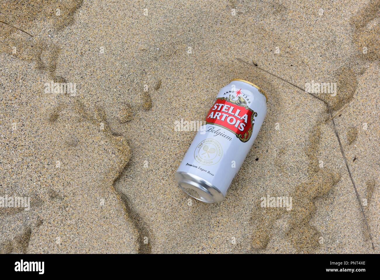 Scartato può della stella artois su un Regno Unito spiaggia sabbiosa Foto Stock