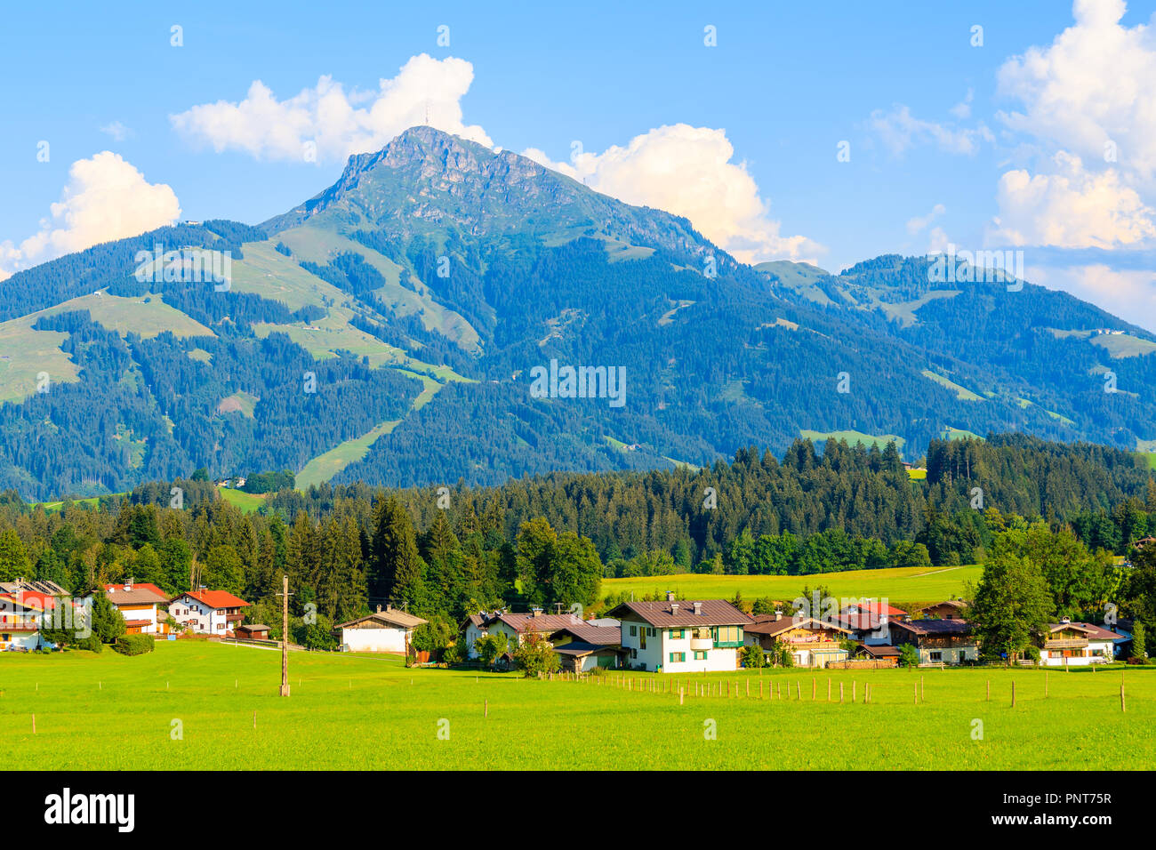 Case sul prato verde a Going am Wilden Kaiser villaggio sulla soleggiata giornata estiva contro Alpi sfondo , Tirolo, Austria Foto Stock