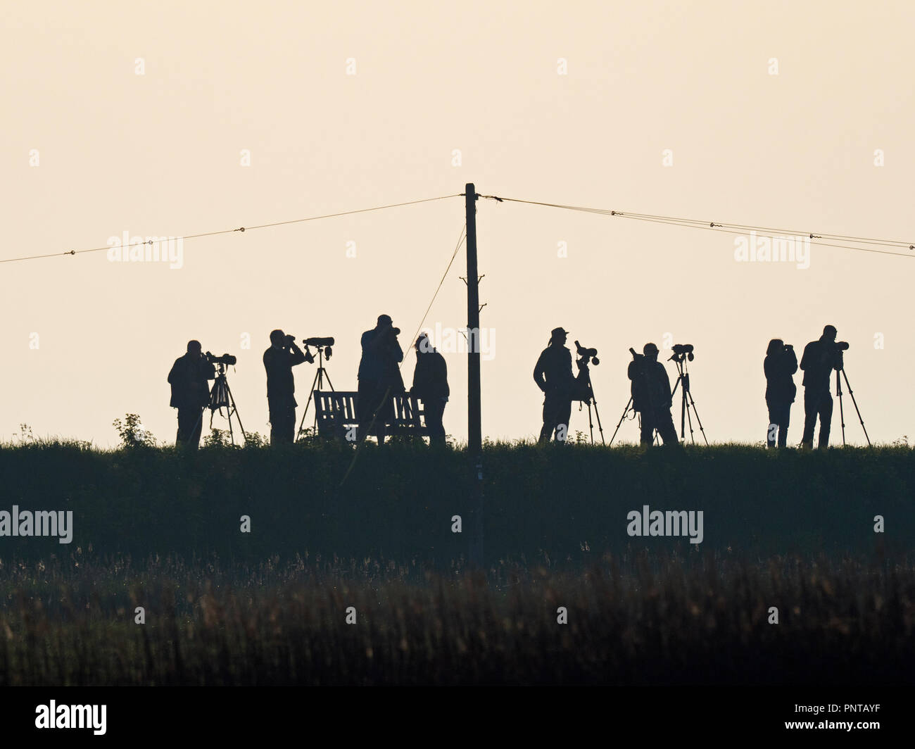Birders bird watching sulla West Bank a Cley Norfolk può Foto Stock