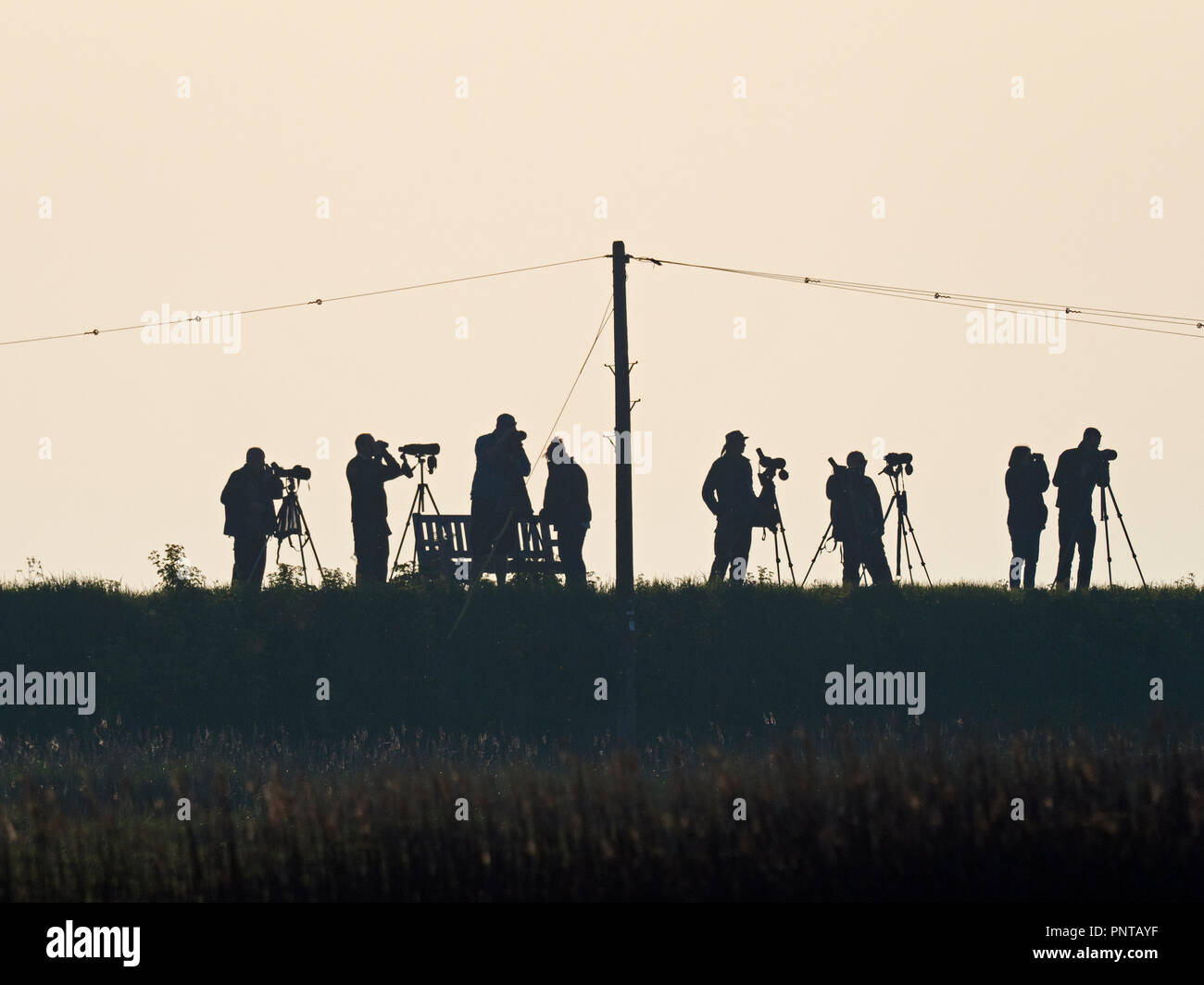 Birders bird watching sulla West Bank a Cley Norfolk può Foto Stock