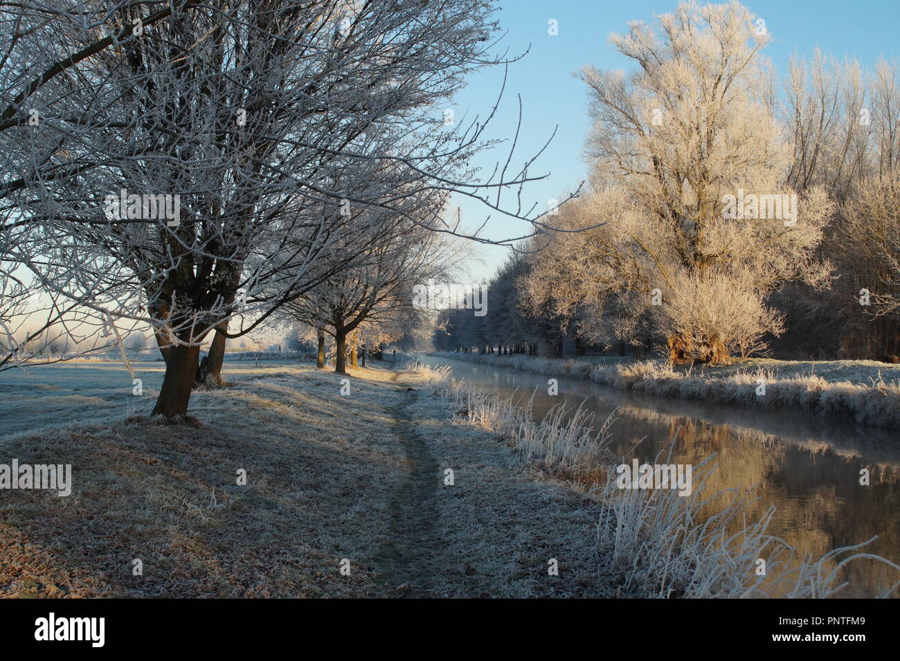 Tipico paesaggio invernale presso il fiume Niers vicino a Grefrath Foto Stock