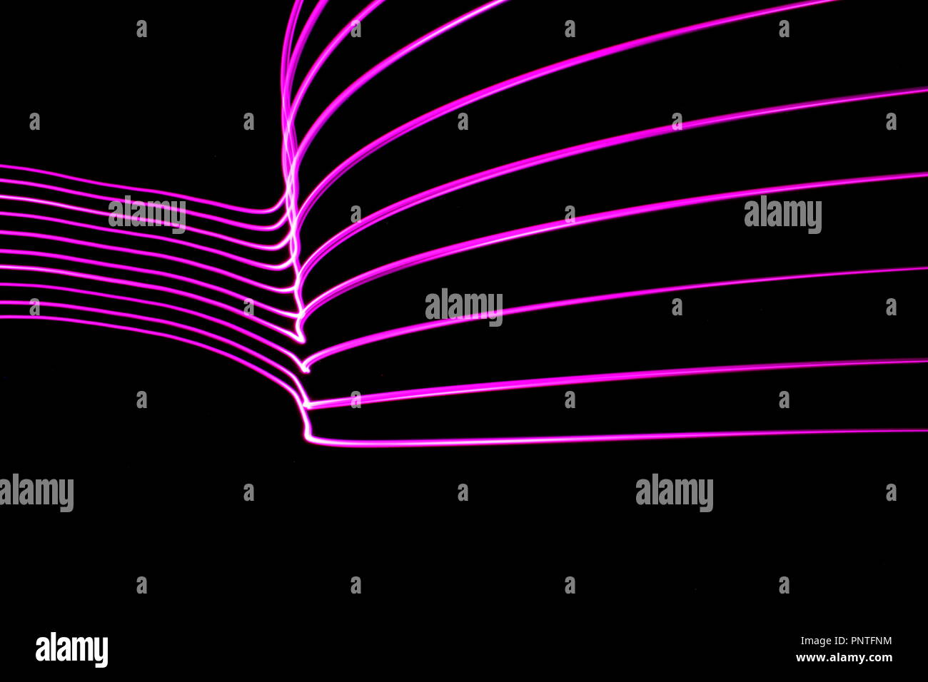 Luce fotografia pittura, una lunga esposizione foto di rosa le luci fairy in una striatura astratta del pattern luminoso contro uno sfondo nero Foto Stock
