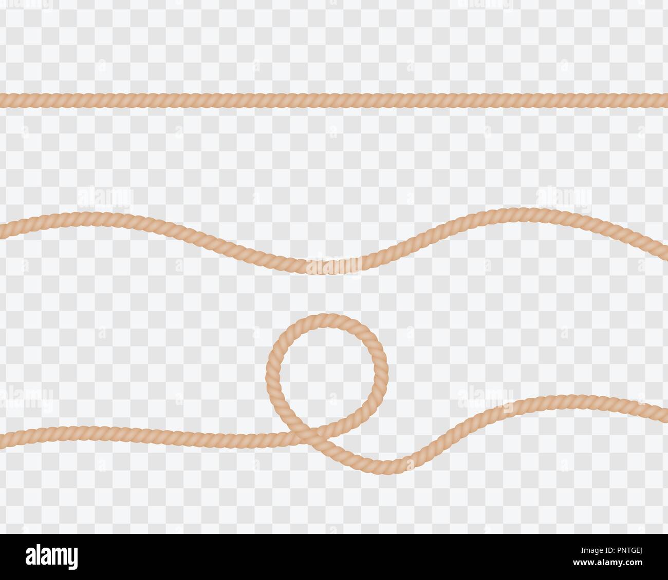 Insieme di funi realistica o stringhe, dritto e ritorto. Naturali linee ritorto con boccole isolate su uno sfondo trasparente. Vettore Illustrazione Vettoriale