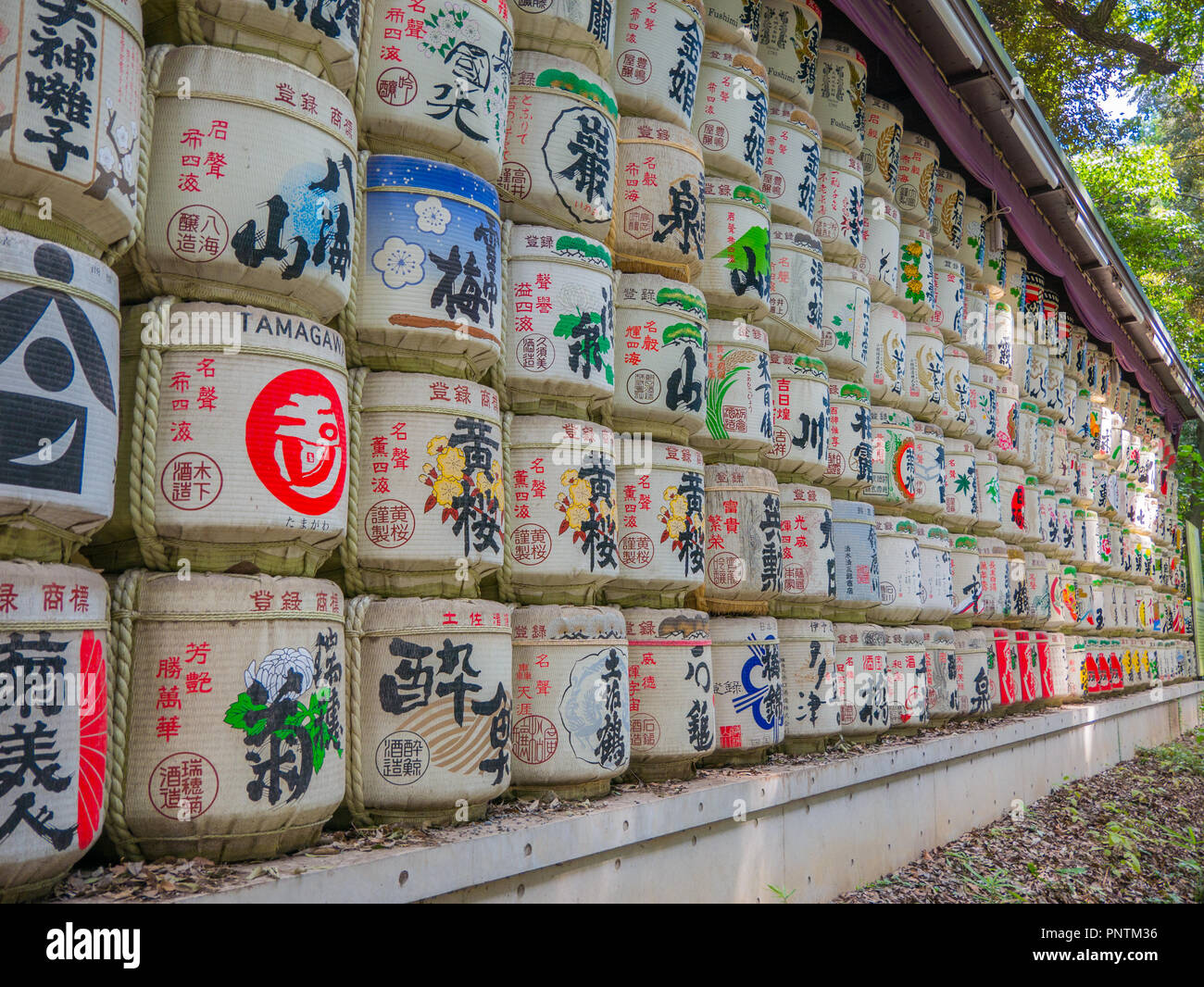 Tokyo, Giappone. 8 Settembre 2018 : motivi di barili al Tempio di Meiji, Yoyogi Park,come offerta per le divinità. Foto Stock