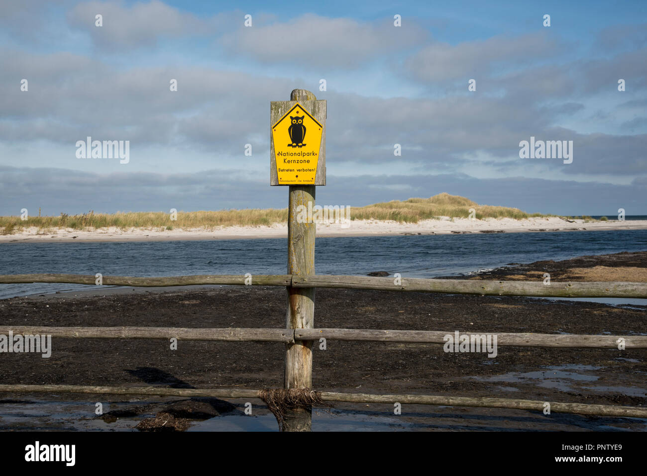 A Darßer Nothafen sulla penisola di Darß, nel nord-est della Germania la wilderness area del parco nazionale comincia. Foto Stock