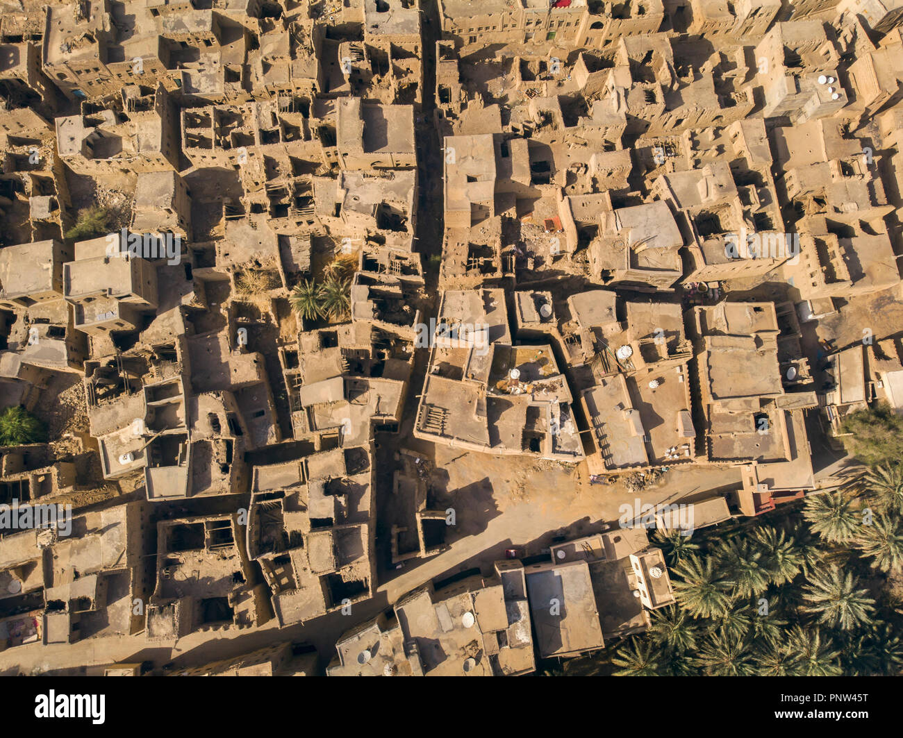 Città vecchia Al Hamra e data la sua piantagione in Oman Foto Stock