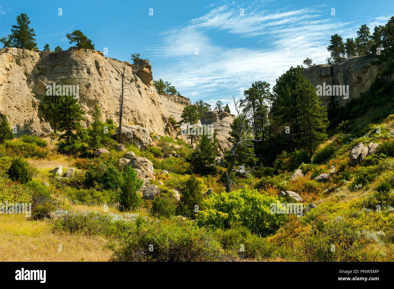 Parco Nazionale di Yellowstone Foto Stock