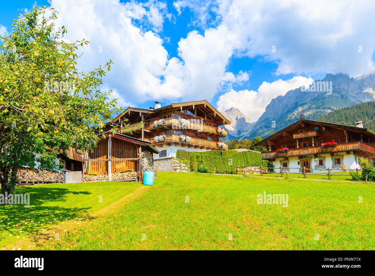 Tipico alpino in legno case decorate con fiori sul prato verde a Going am Wilden Kaiser villaggio montano su soleggiate giornate estive, Tirolo, Austria Foto Stock