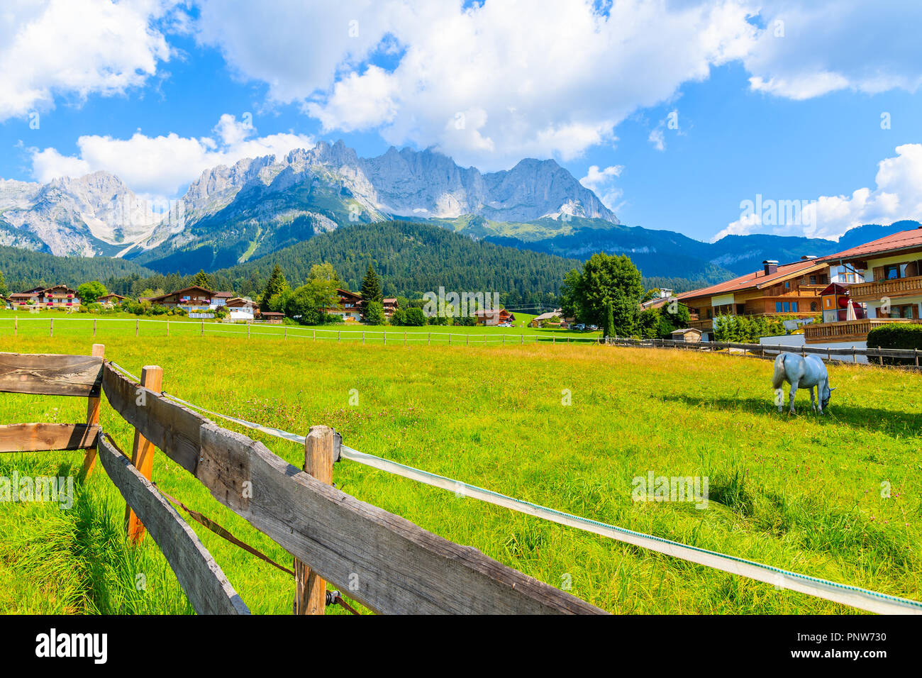 Recinto sul prato verde con i cavalli al pascolo a Going am Wilden Kaiser villaggio montano su soleggiate giornate estive, Tirolo, Austria Foto Stock
