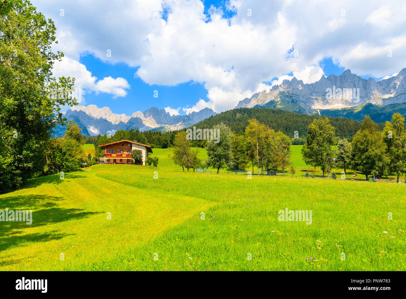 In legno tipico casa alpina contro Alpi montagne sullo sfondo verde prato a Going am Wilden Kaiser villaggio sulla soleggiata giornata estiva, Tirolo, Austria Foto Stock