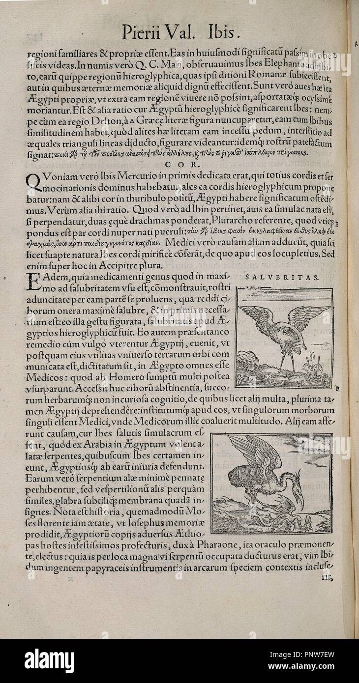 PIERIO VALERIANO: HIEROGLYPHICA - BASILEAE, 1567. Autore: Valeriano PIERO. Posizione: Congreso de los Diputados-biblioteca. MADRID. Spagna. Foto Stock