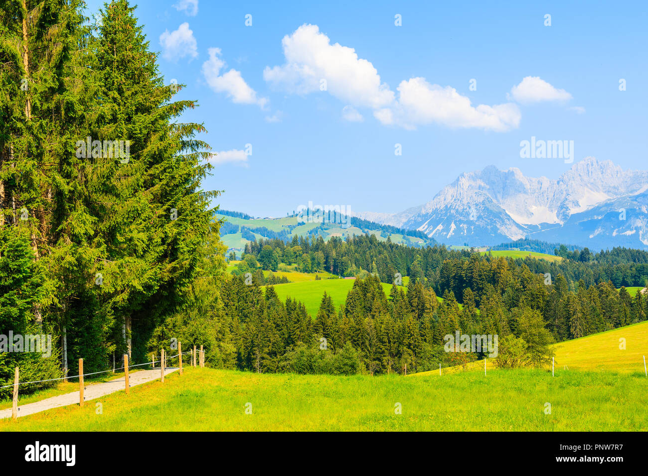 Verde prato in Gieringer Weiher zona di montagna su soleggiate giornate estive, Alpi Kitzbühel, Austria Foto Stock