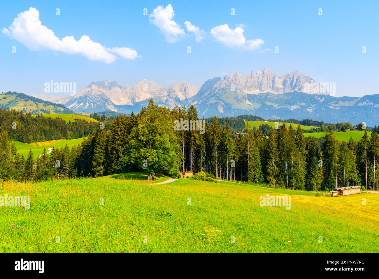 Verde prato in Gieringer Weiher zona di montagna su soleggiate giornate estive, Alpi Kitzbühel, Austria Foto Stock