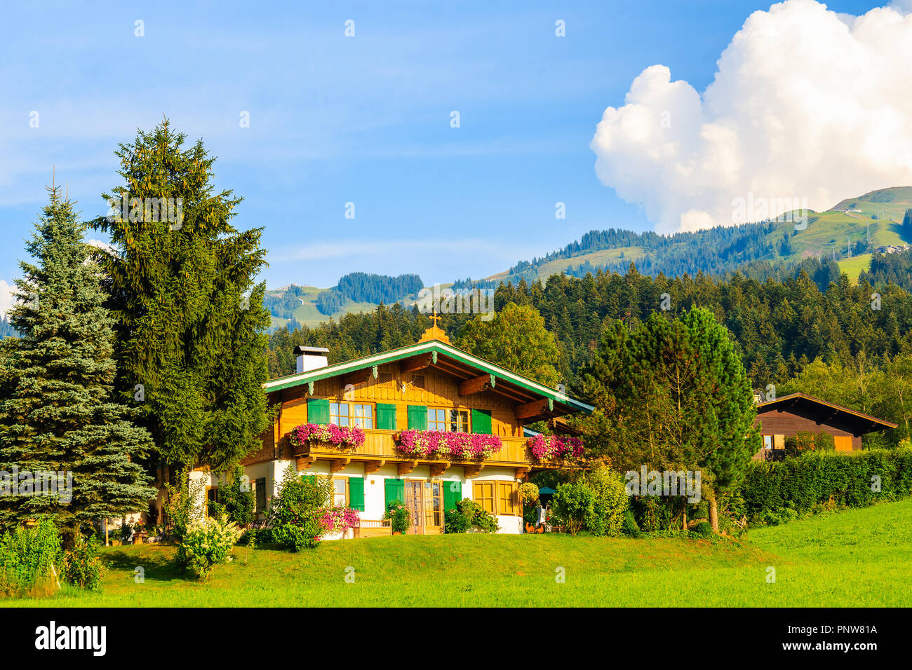 In legno tipico casa alpina contro Alpi montagne sullo sfondo verde prato in Kirchberg in Tirol villaggio sulla soleggiata giornata estiva, Austria Foto Stock