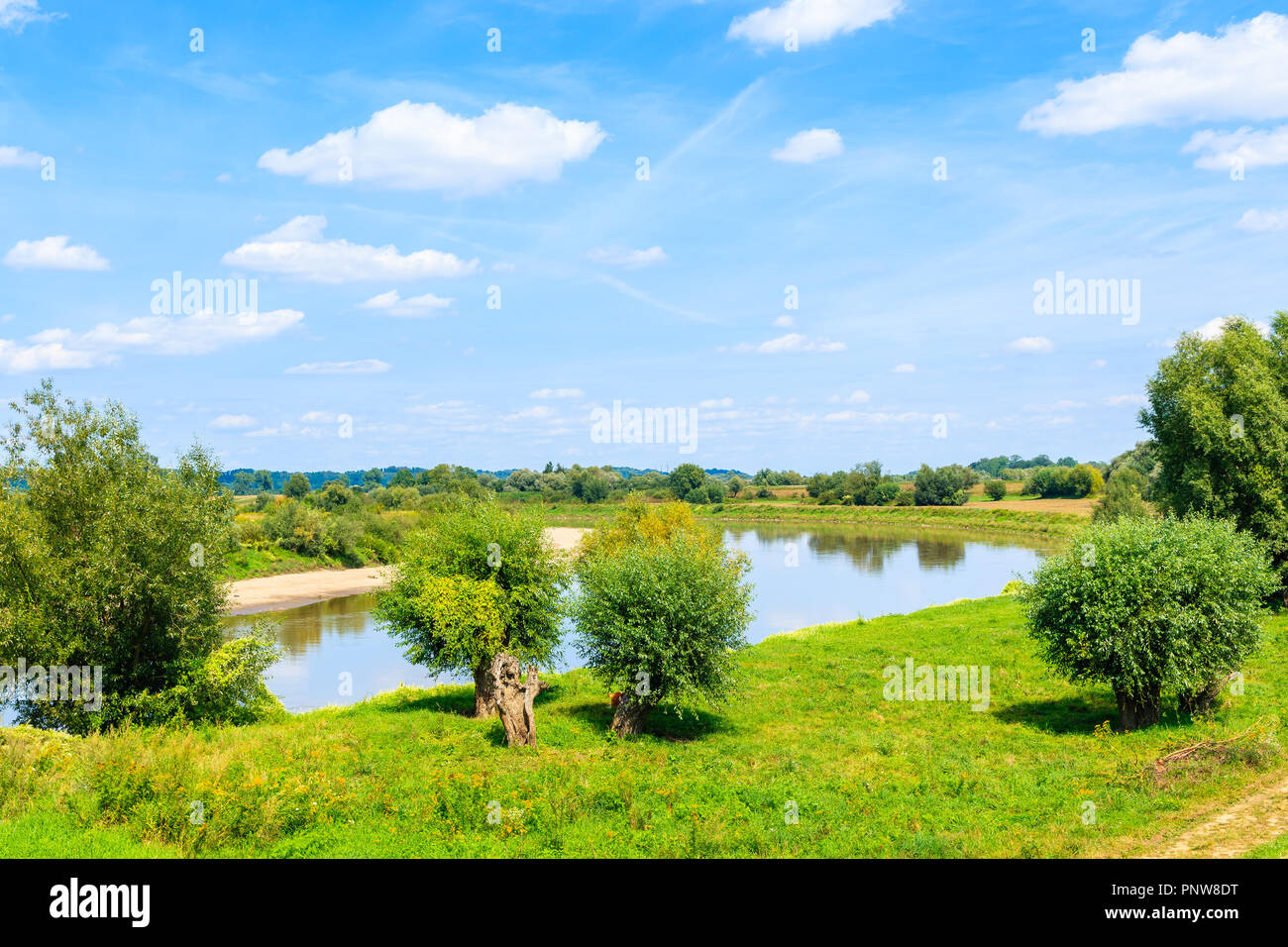 Fiume Vistola e verdi campi vicino a Cracovia città sulla soleggiata giornata estiva, Polonia Foto Stock
