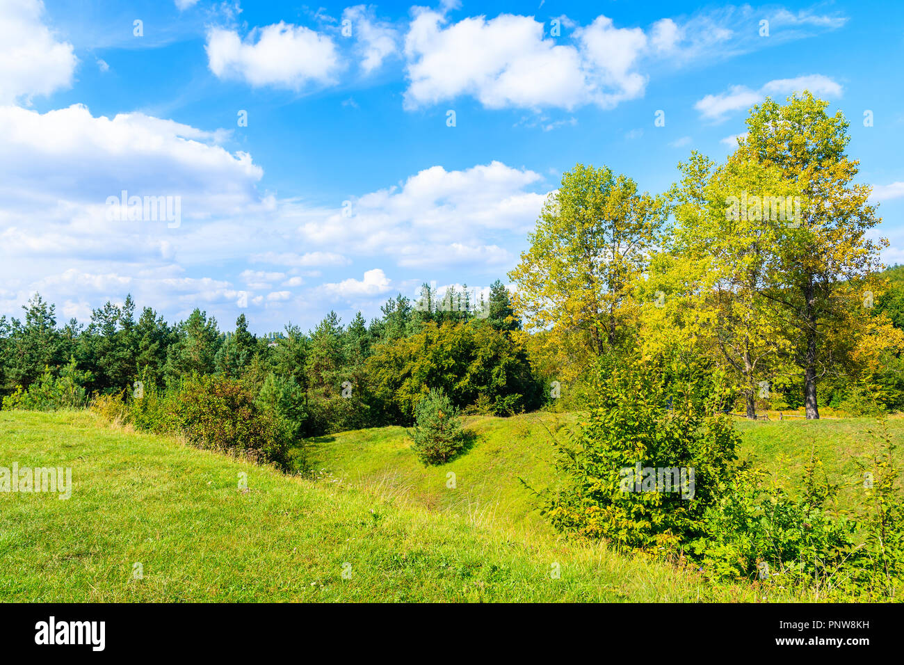 Paesaggio verde con alberi vicino Rabsztyn castello situato nel piccolo villaggio nel sud della Polonia Foto Stock
