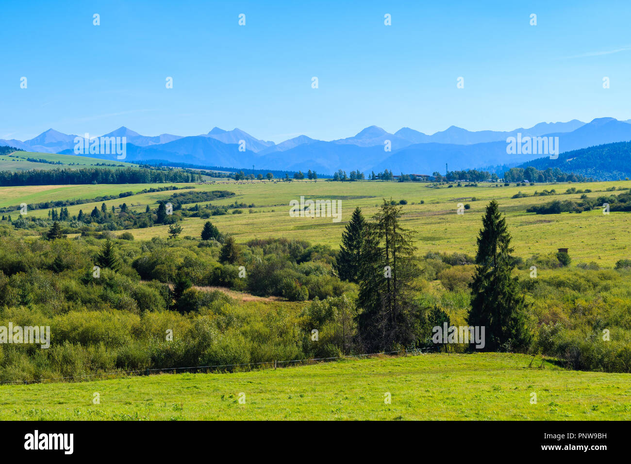 Verde prato in Czarny Dunajec villaggio nei monti Tatra paesaggio estivo, Polonia Foto Stock