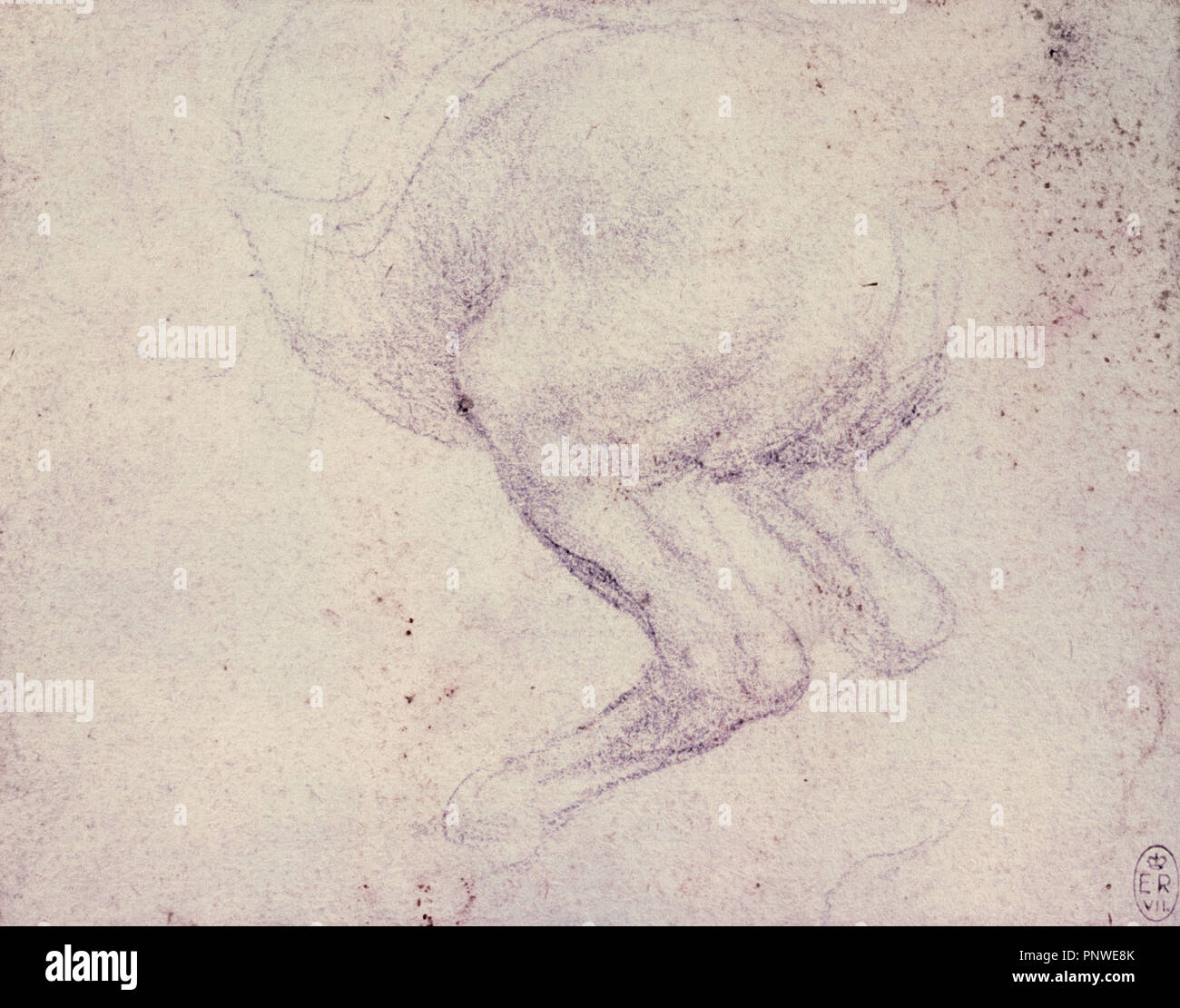 Leonardo da Vinci (1452-1519). Artista, architetto, scultore e ingegnere italiano. I quarti posteriori di un allevamento di cavallo (1503-1504). Biblioteca Reale di Windsor. In Inghilterra. Regno Unito. Foto Stock