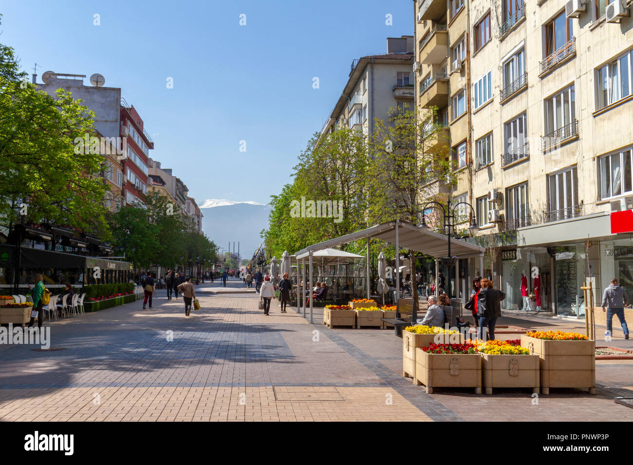 Vista generale sud lungo il Boulevard Vitosha verso la Snow capped Vitosha ,Sofia, Bulgaria. Foto Stock