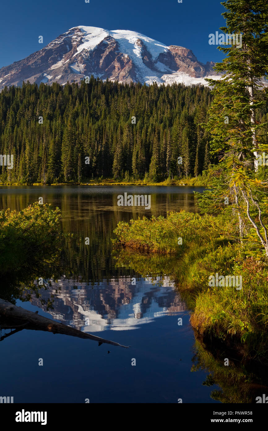 Mt.Rainier vom Lago di riflessione Foto Stock