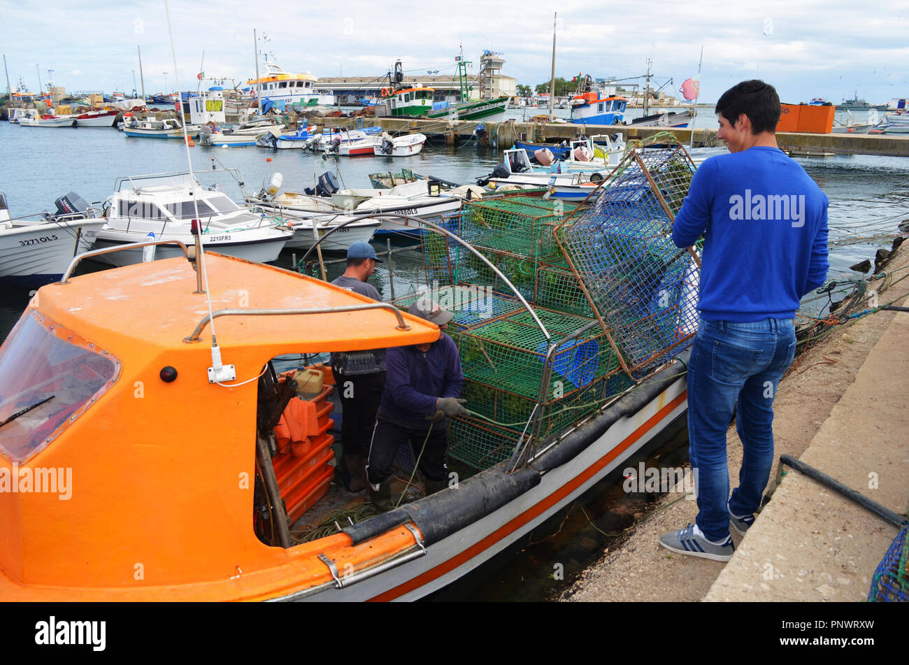 Attrezzi da pesca artigianale: seppia (Sepia officinalis) cantre in Olhao porto, Algarve, PORTOGALLO Foto Stock