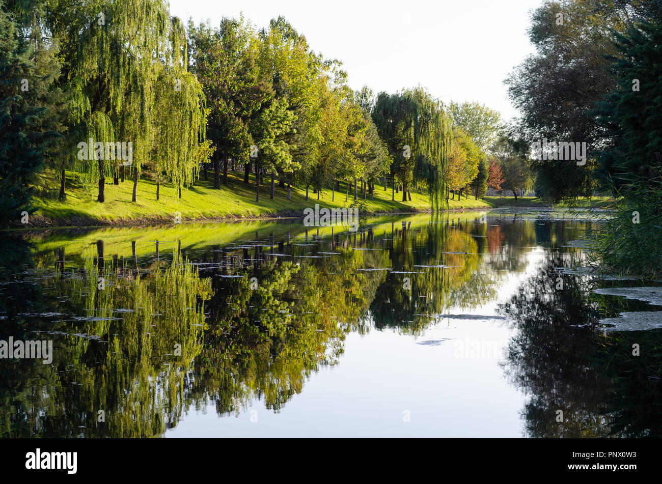 La riflessione di alberi in un fiume in settembre, Eskisehir, Turchia. Foto Stock