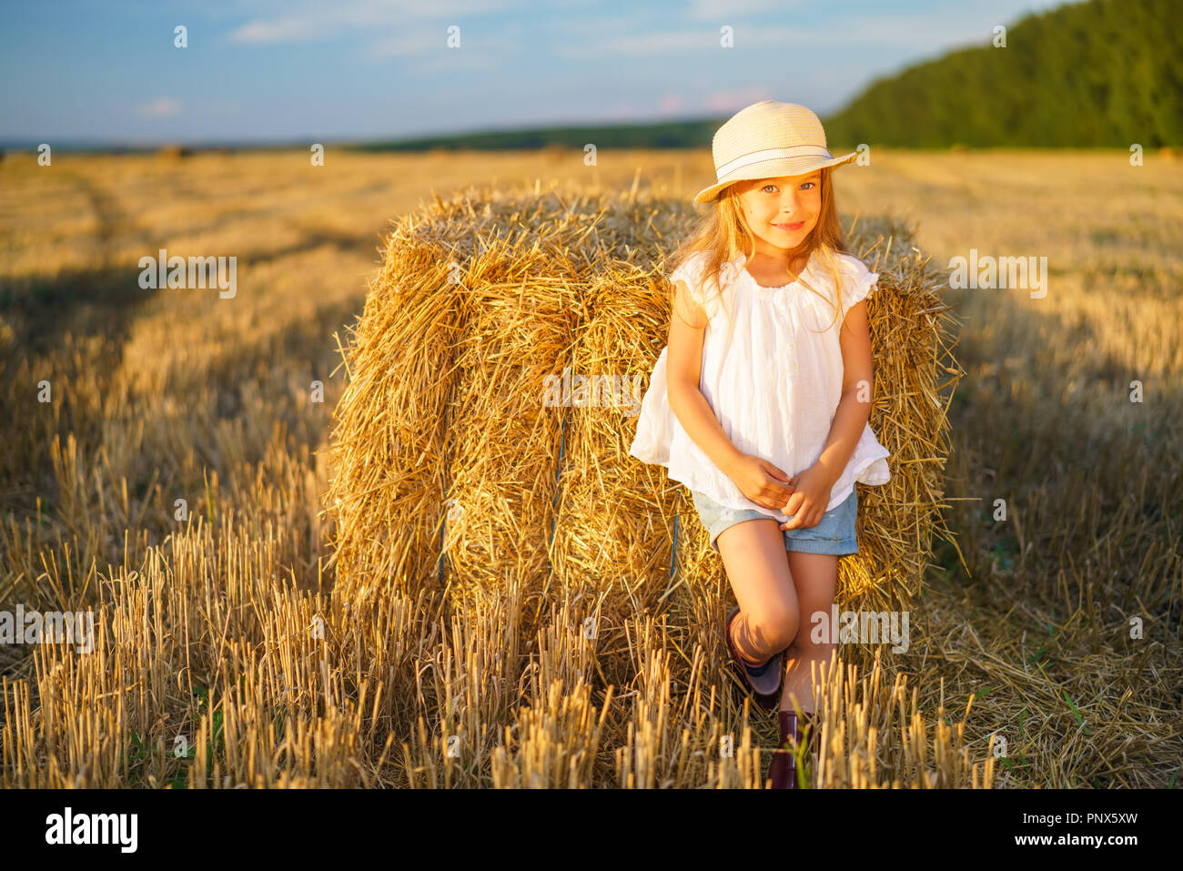 bel-campo-di-fieno-immagini-e-fotografie-stock-ad-alta-risoluzione-alamy