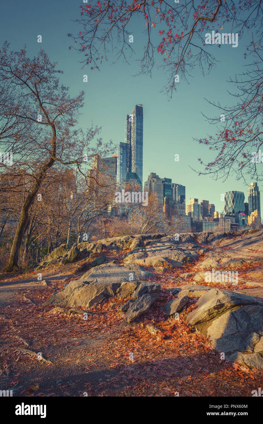 Central Park in autunno mattina Foto Stock