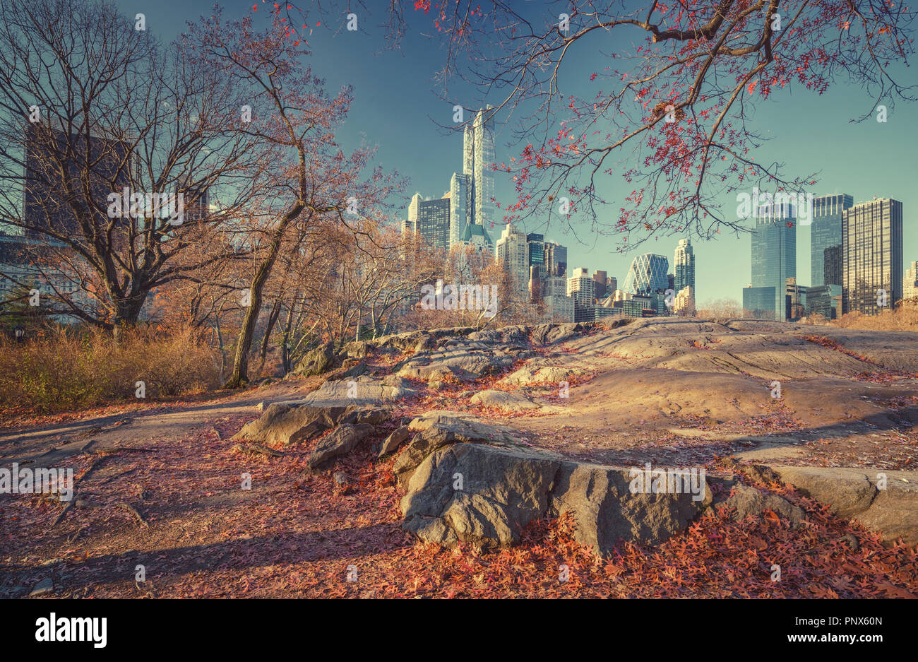 Central Park in autunno mattina Foto Stock