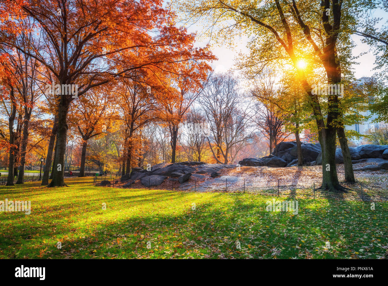 Central Park in autunno mattina Foto Stock