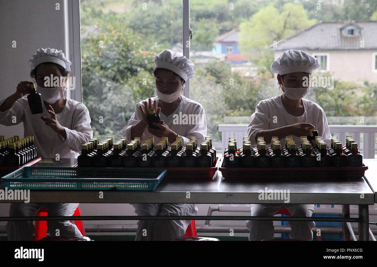 Kaesong Ginseng Factory Foto Stock