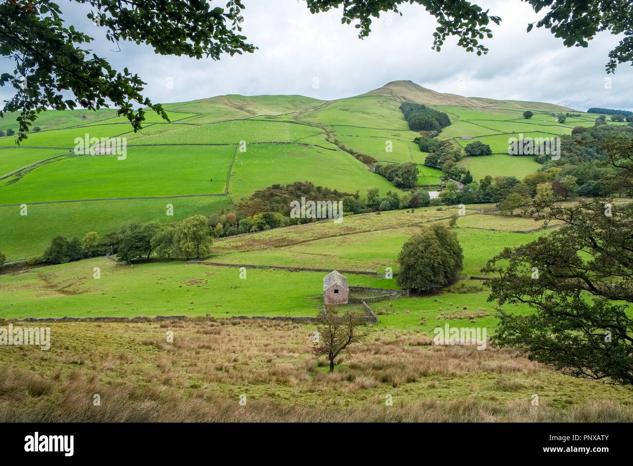 Shutlinsloe nel Cheshire - talvolta indicato come il Cheshire Matterhorn - salendo dalla valle di Wildboarclough nel Peak District Foto Stock