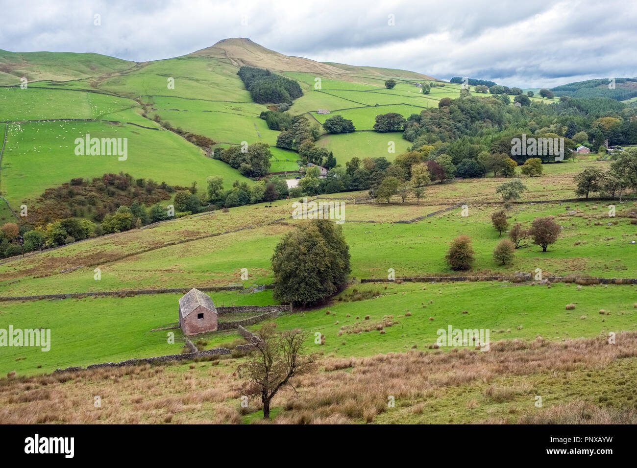 Shutlinsloe nel Cheshire - talvolta indicato come il Cheshire Matterhorn - salendo dalla valle di Wildboarclough nel Peak District Foto Stock